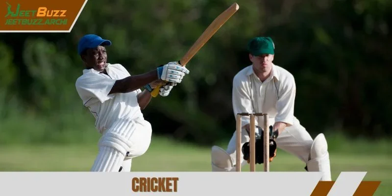 Cricket jeetbuzz
