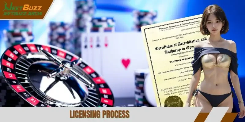 Licensing process