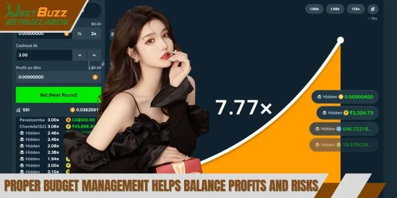 Proper budget management helps balance profits and risks